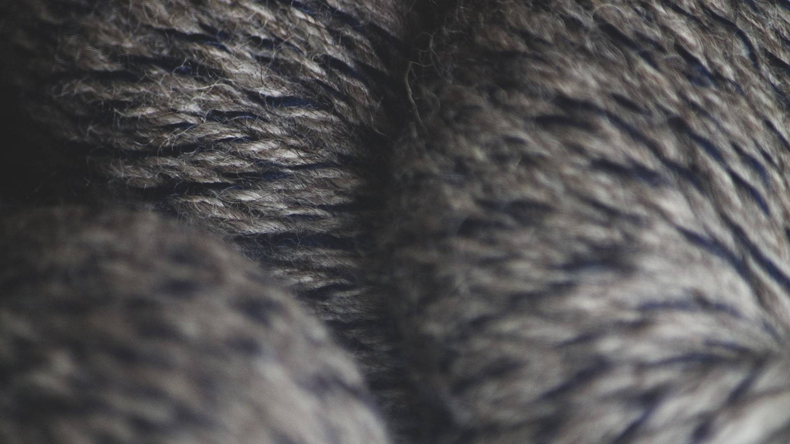 Wrong cone. Right twist.