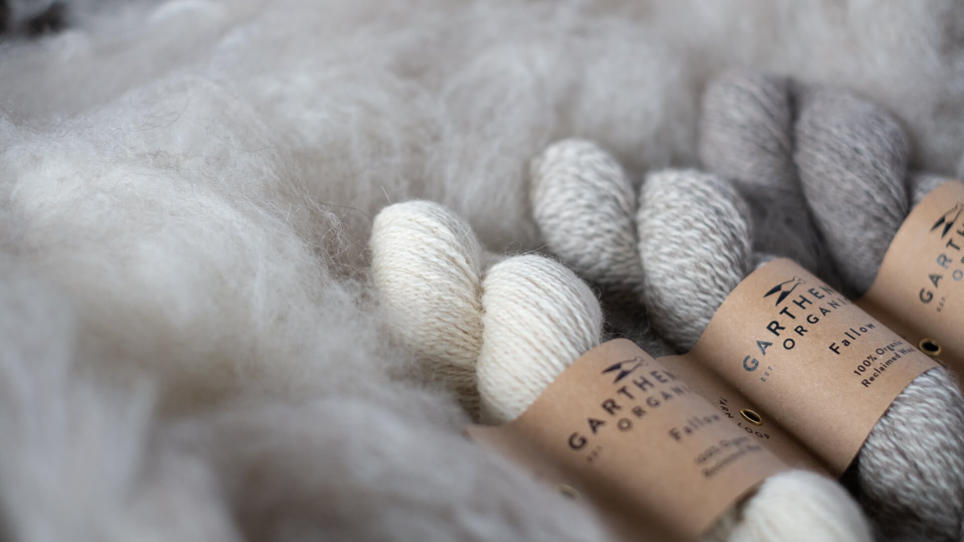 Undyed skeins of Garthenor Organic’s Fallow yarn in three shades — off-white (Rest), grey (Return), and marled (Interval) — nestled in soft fleece.