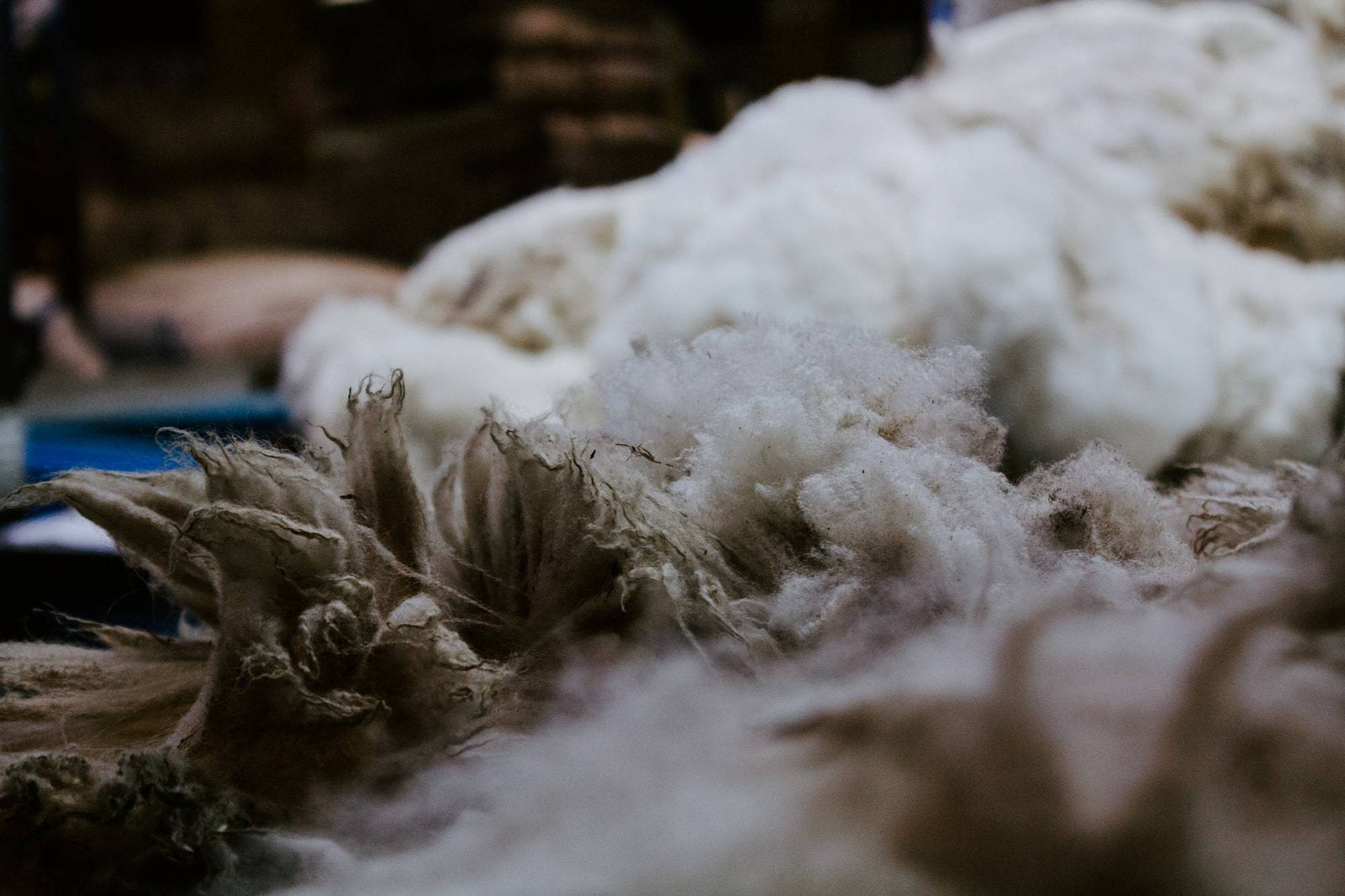 A Visit to British Wool