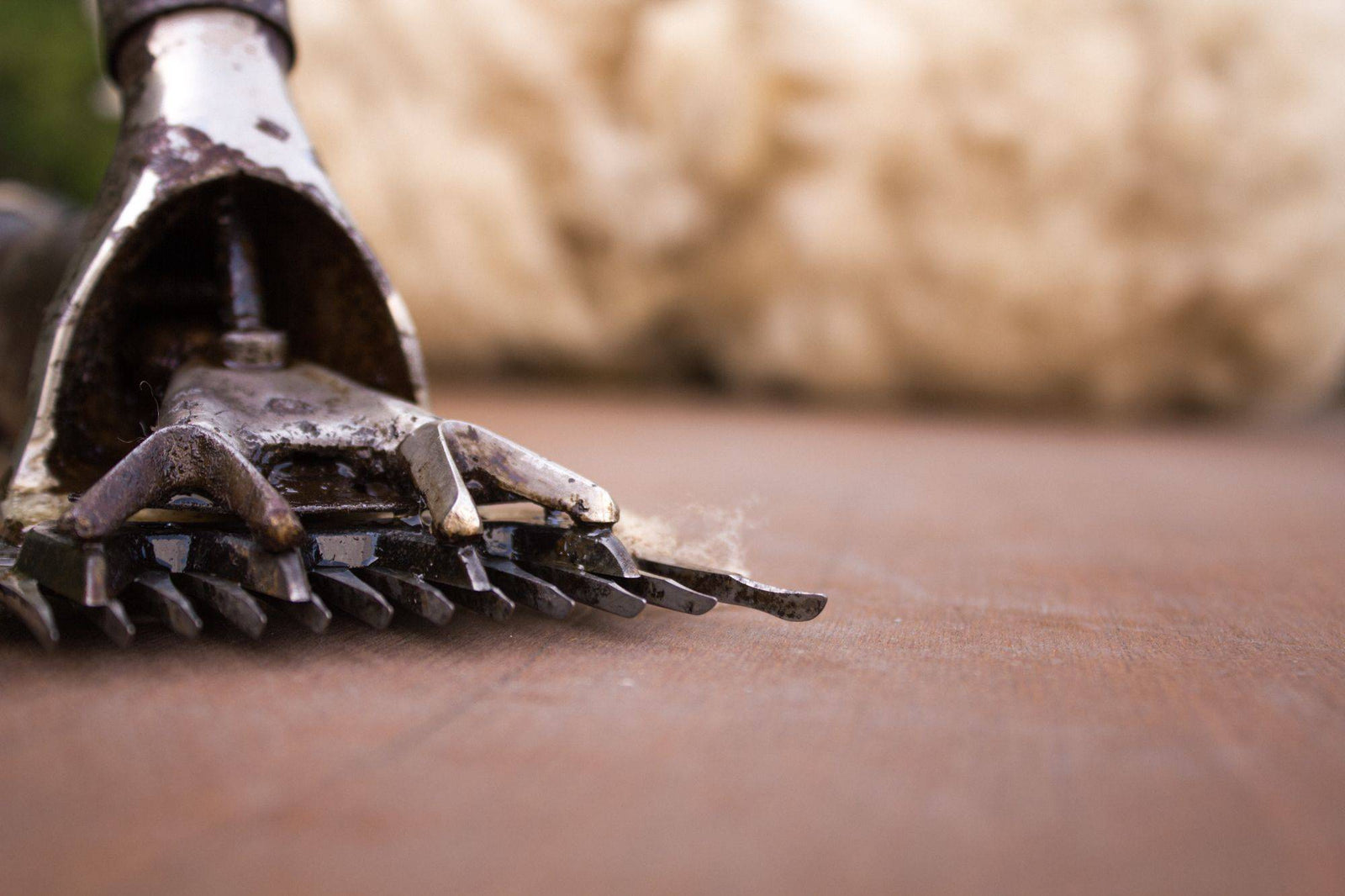 Shearing 2022: Calm, Chaos, Calm