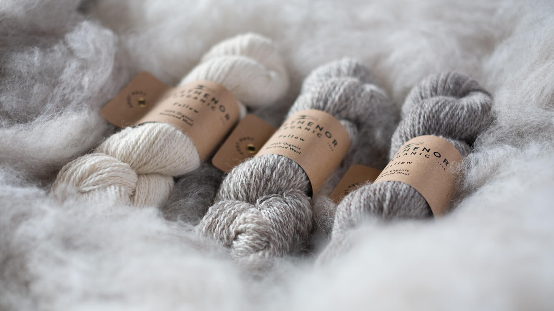 Three skeins of Garthenor Organic’s Fallow yarn — Rest, Return, and Interval — on a bed of soft undyed fleece.