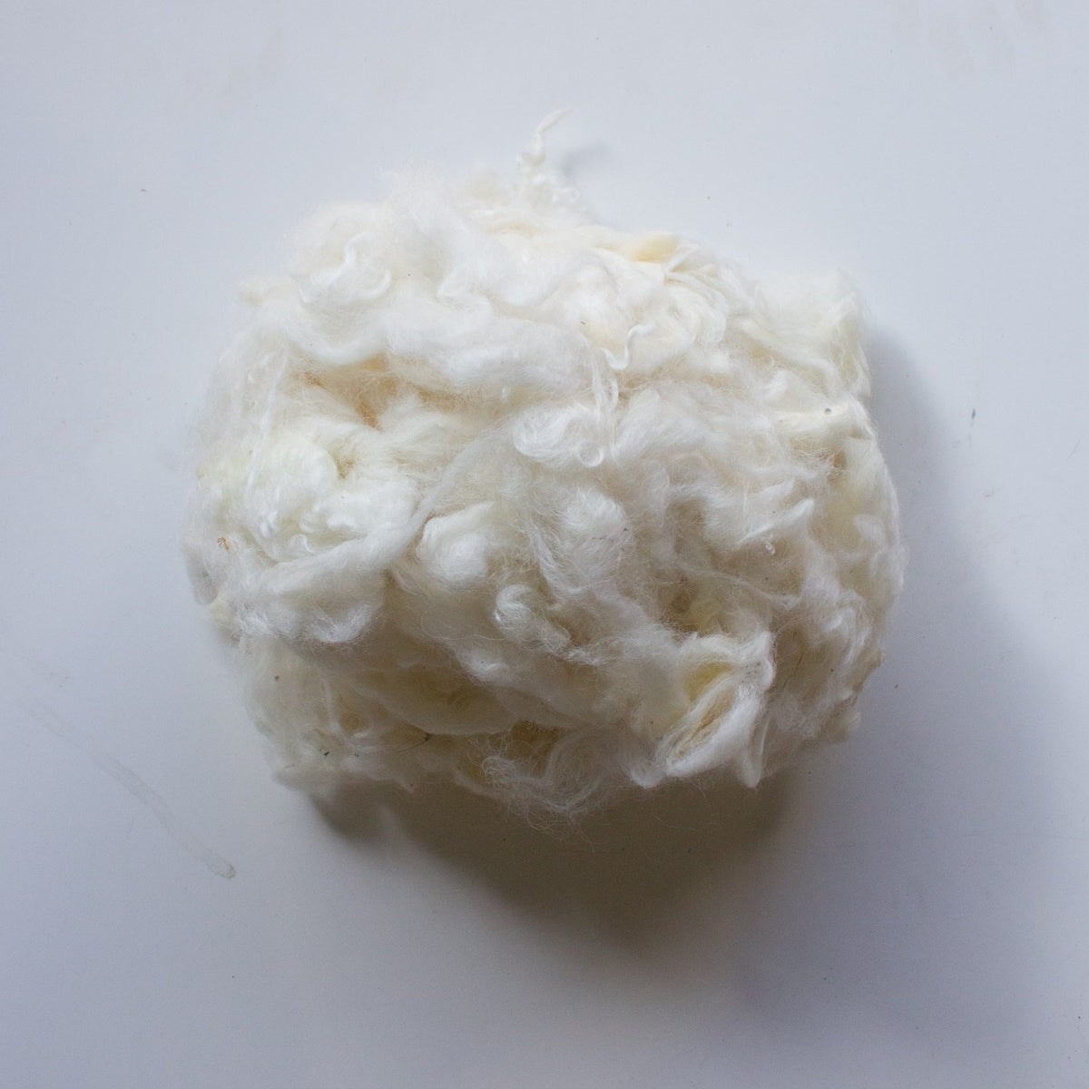 Organic Scoured Cotswold Wool