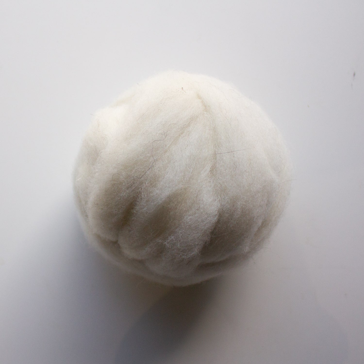 Organic Carded Shetland/Cheviot Wool Roving