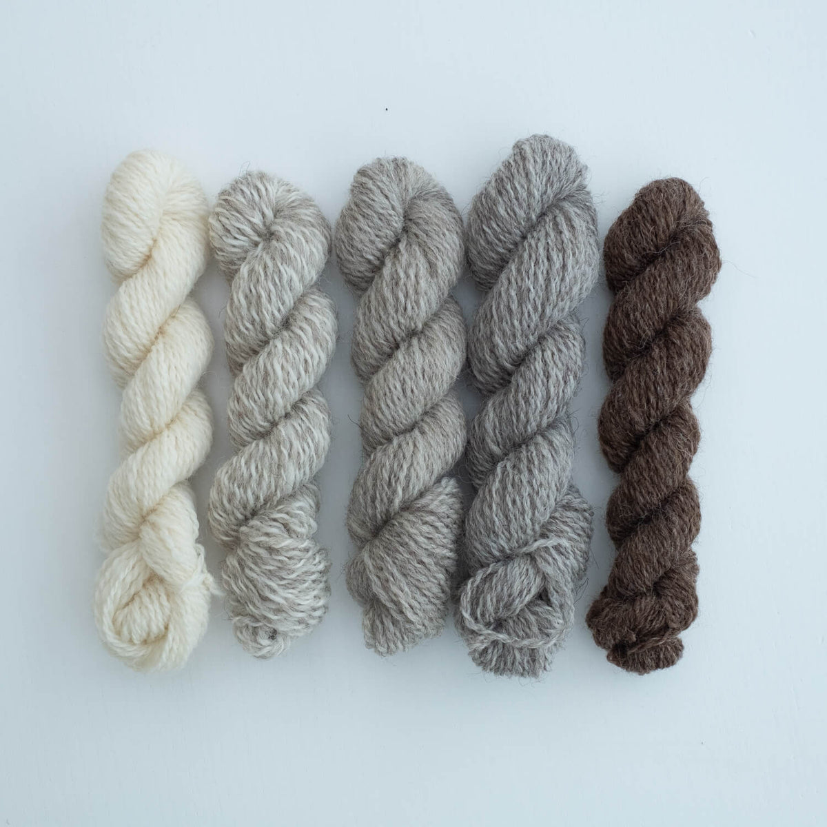 Number 2 Mini Skein Bundle: Croft Shades