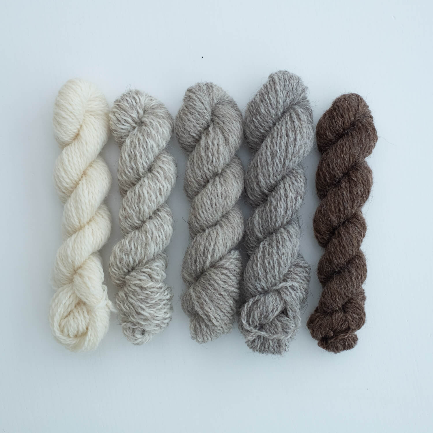 Number 2 Mini Skein Bundle: Croft Shades