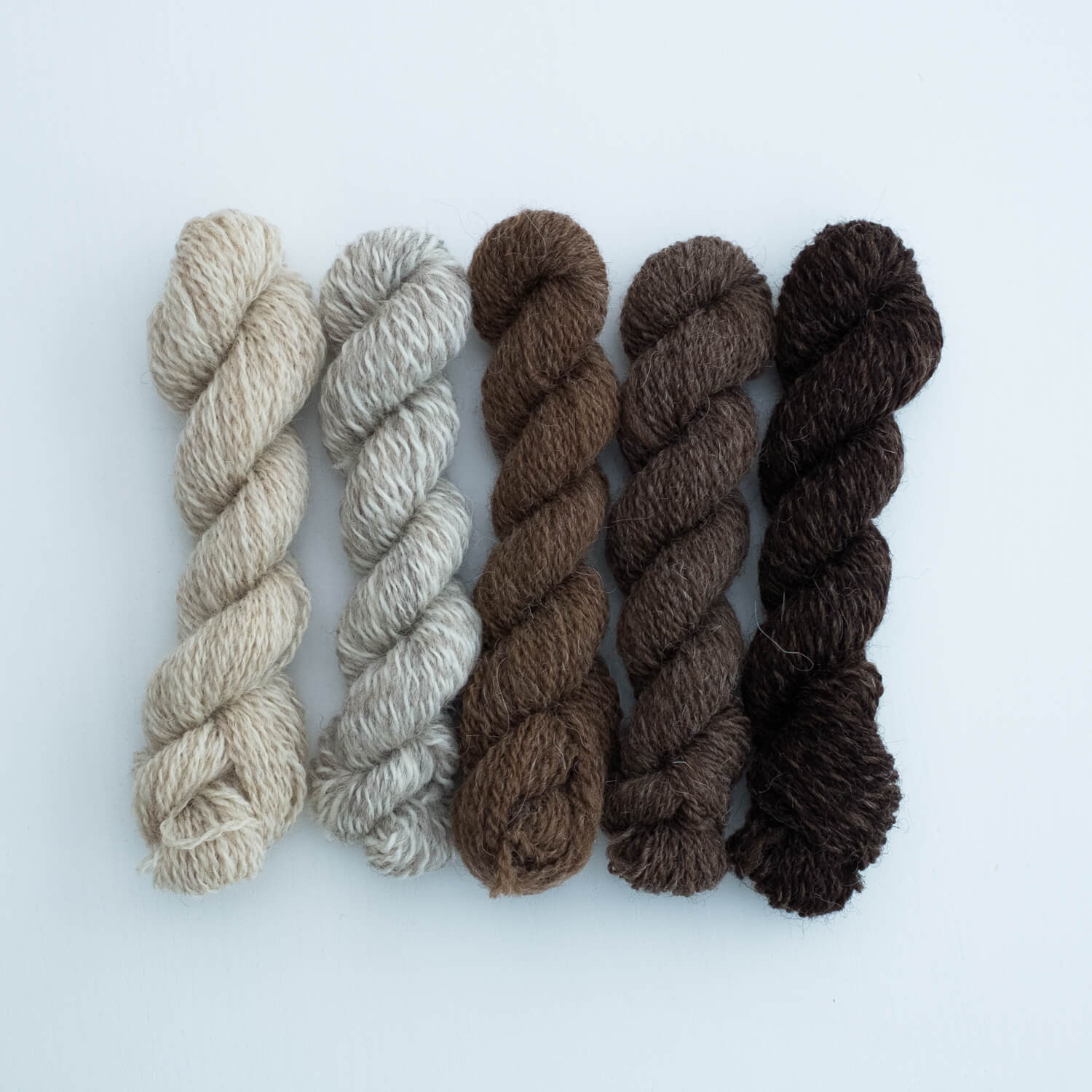 Number 2 Mini Skein Bundle: Harvest Light