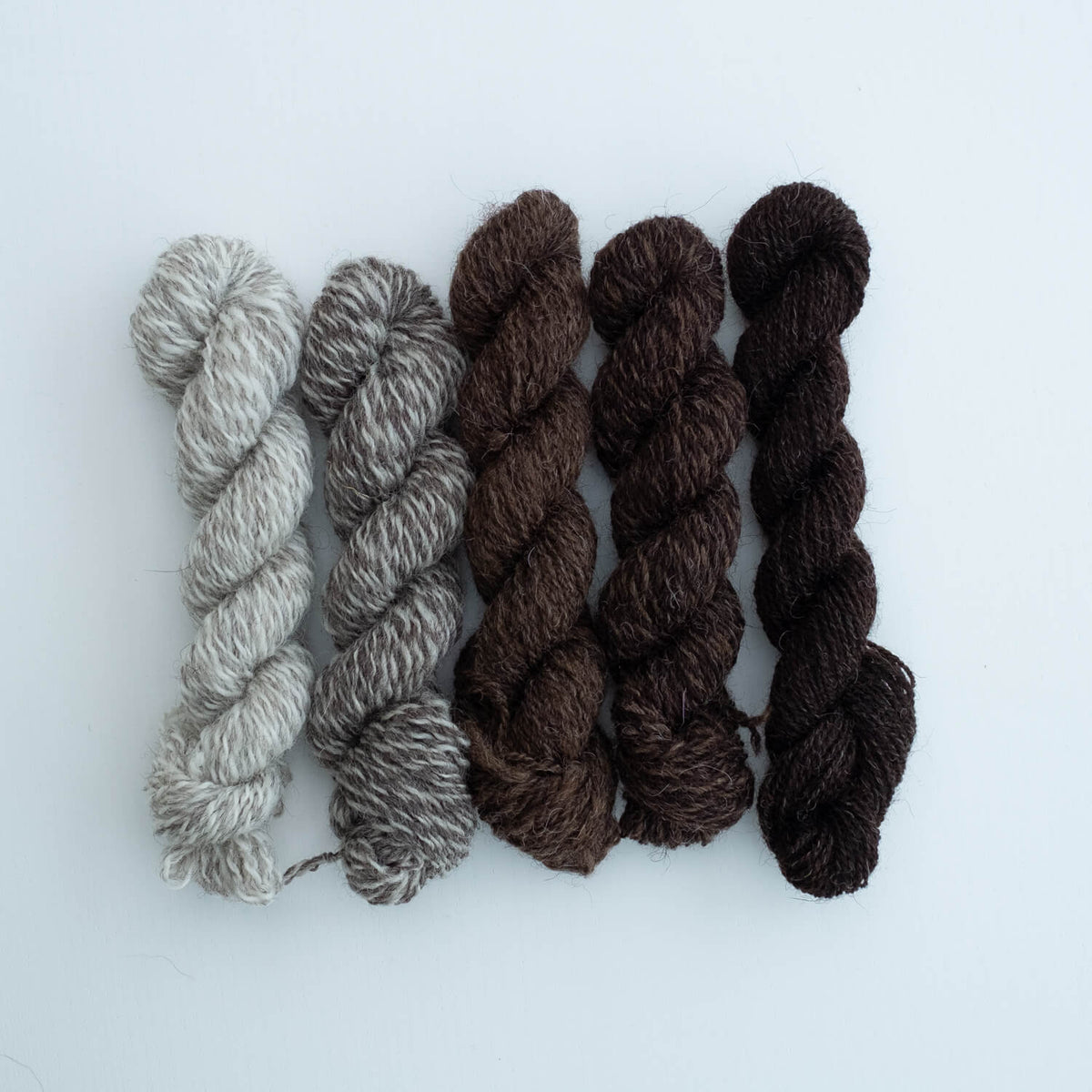 Number 2 Mini Skein Bundle: Hebridean Weather