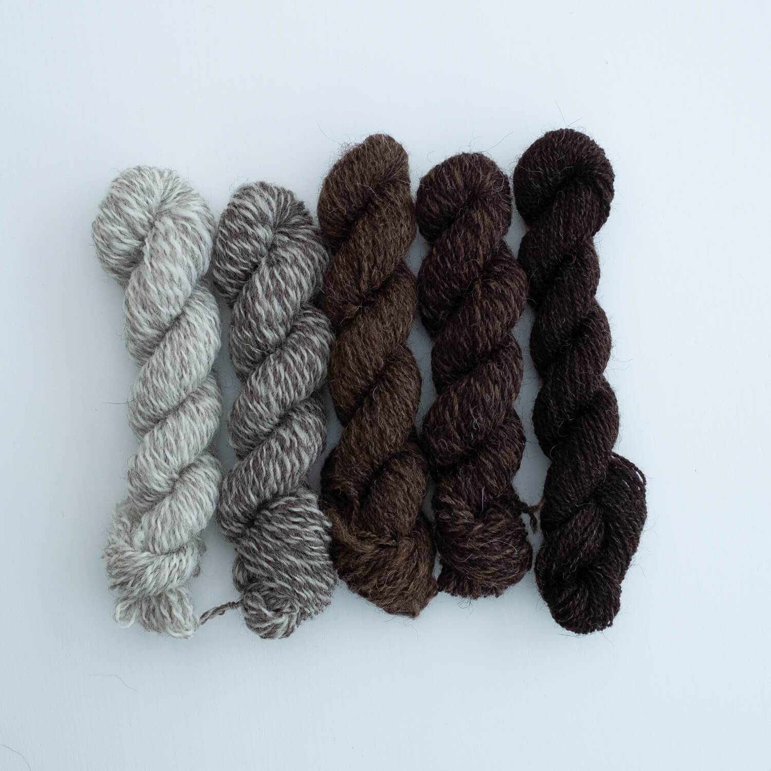 Number 2 Mini Skein Bundle: Hebridean Weather