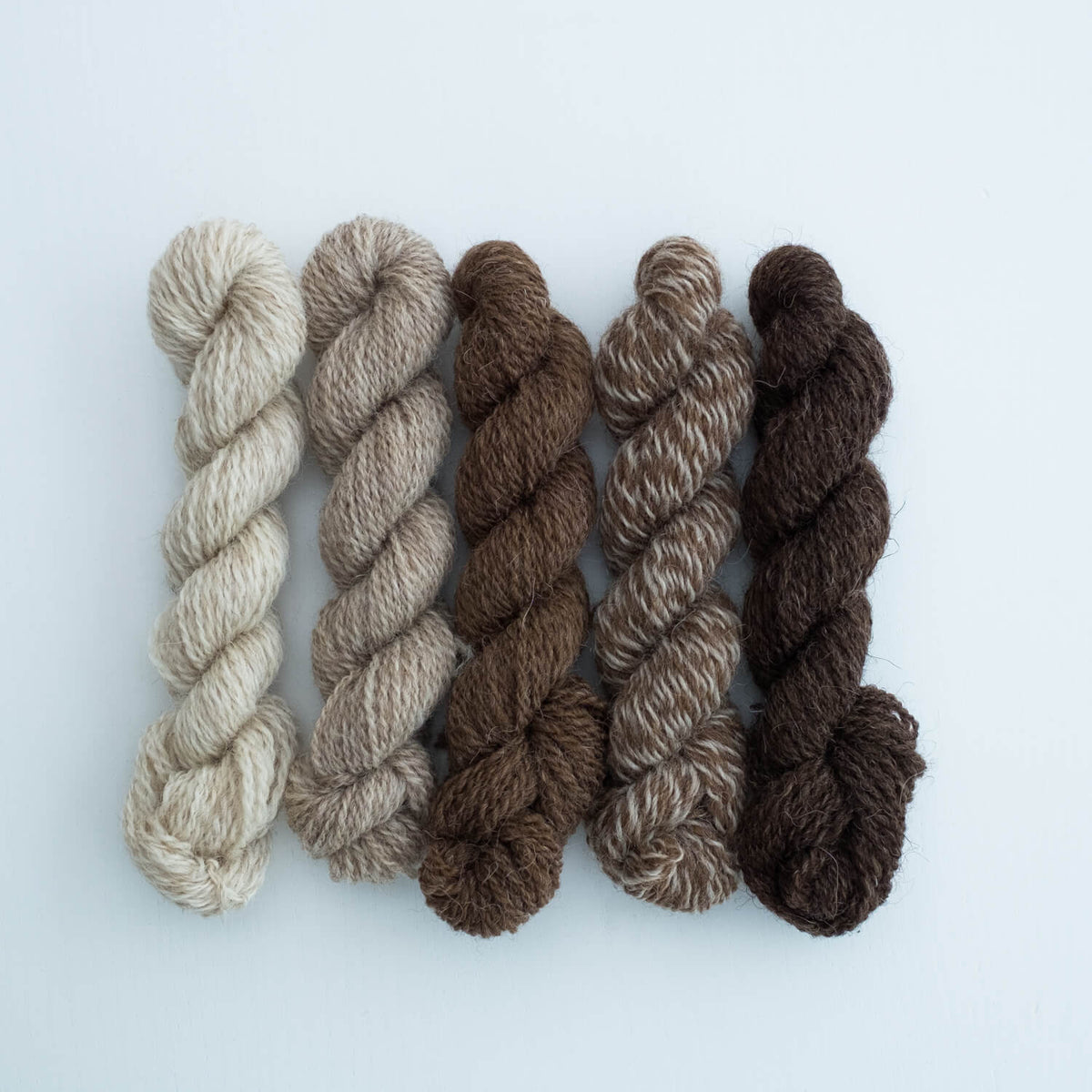 Number 2 Mini Skein Bundle: Loaghtan Layers