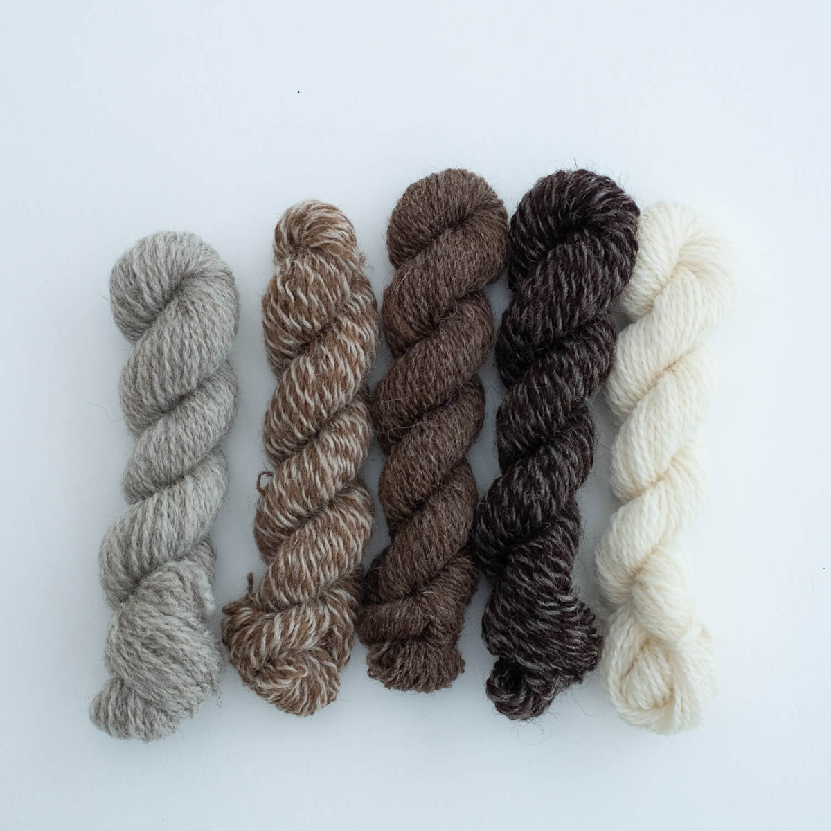 Number 2 Mini Skein Bundle: Mystery Bundle